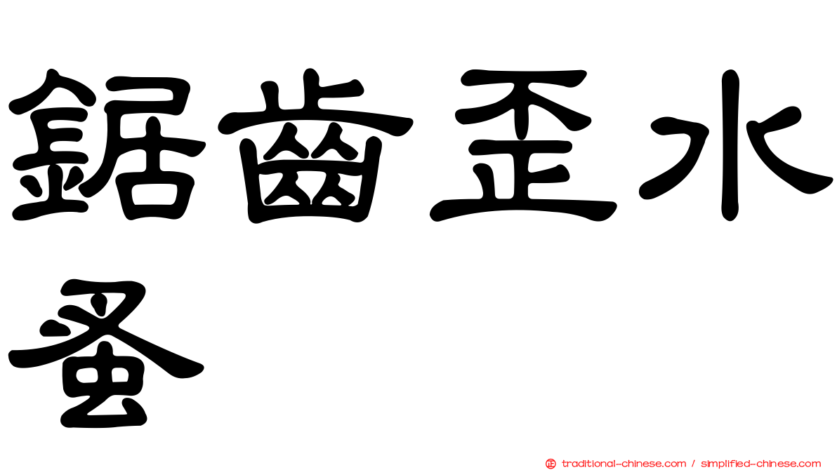 鋸齒歪水蚤