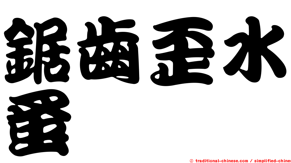 鋸齒歪水蚤