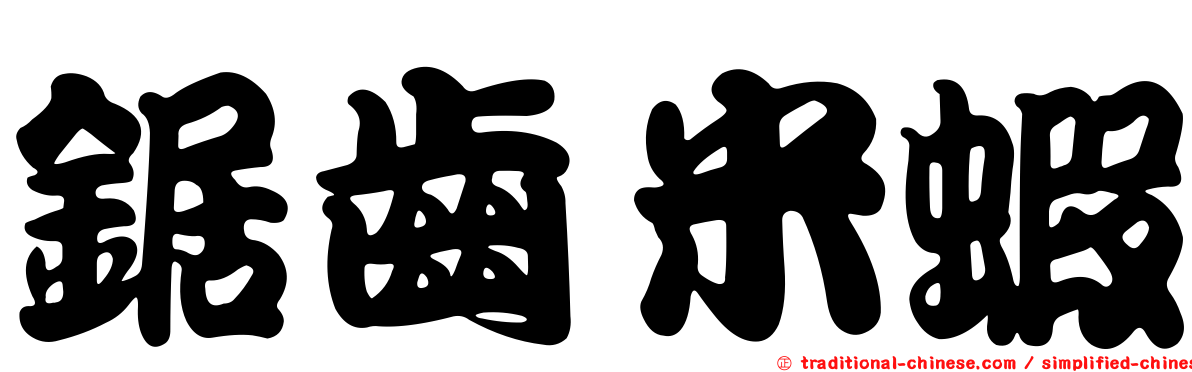 鋸齒米蝦