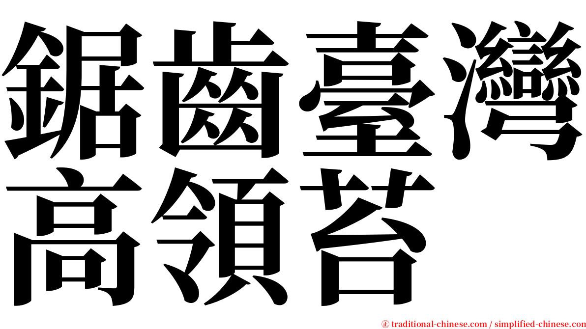 鋸齒臺灣高領苔 serif font