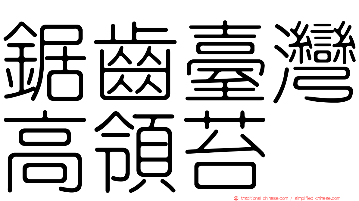 鋸齒臺灣高領苔