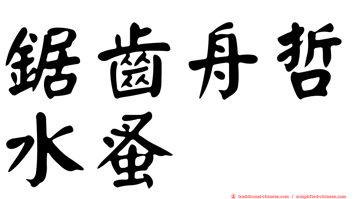 鋸齒舟哲水蚤