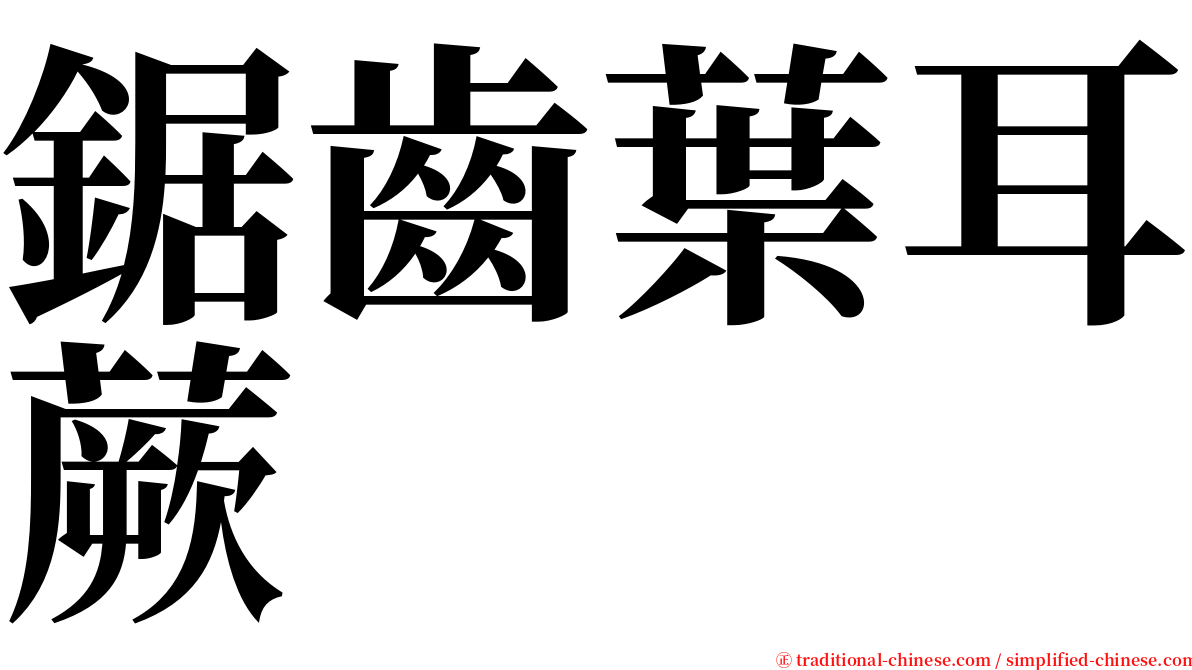 鋸齒葉耳蕨 serif font