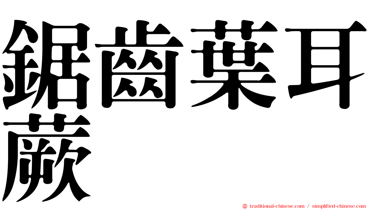 鋸齒葉耳蕨