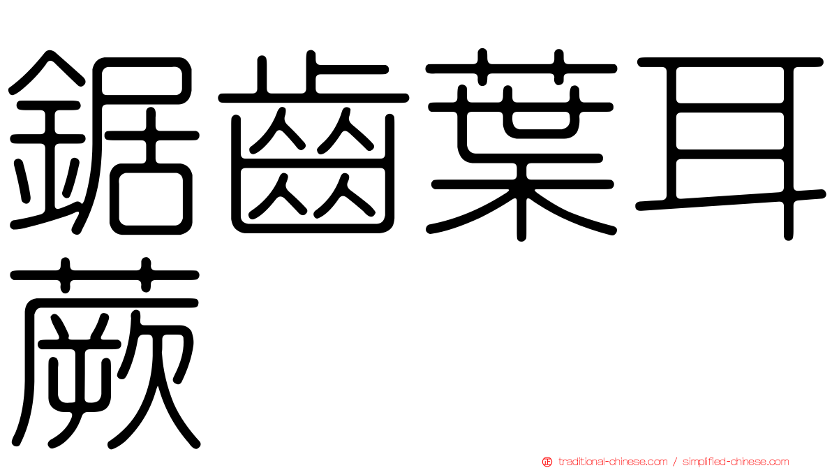 鋸齒葉耳蕨