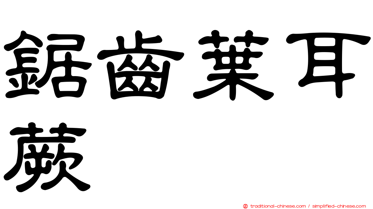 鋸齒葉耳蕨