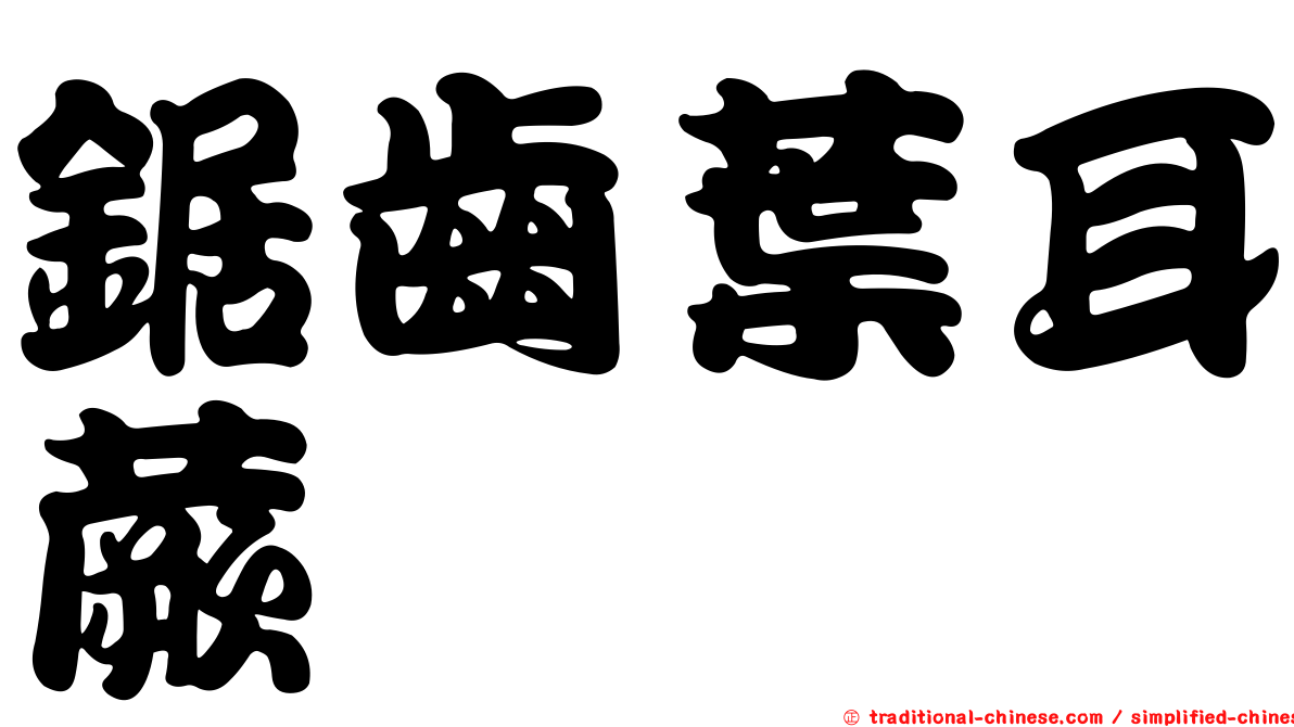 鋸齒葉耳蕨