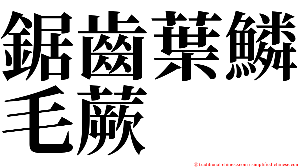 鋸齒葉鱗毛蕨 serif font