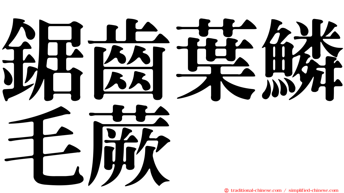 鋸齒葉鱗毛蕨