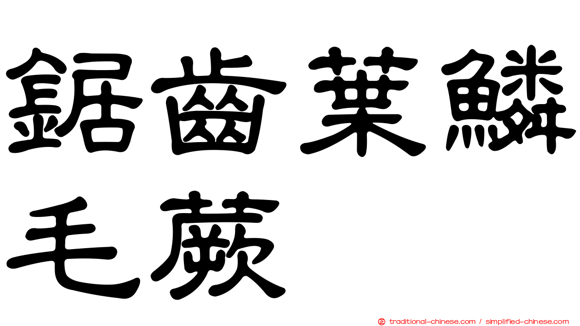鋸齒葉鱗毛蕨