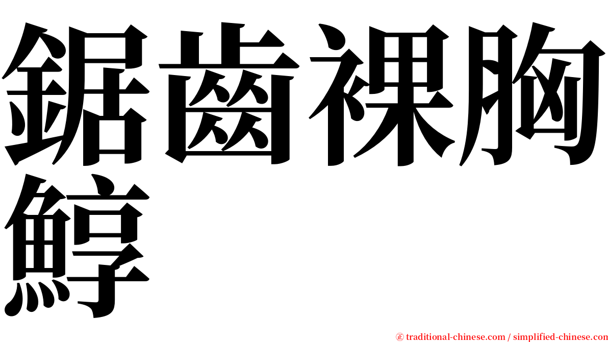 鋸齒裸胸鯙 serif font