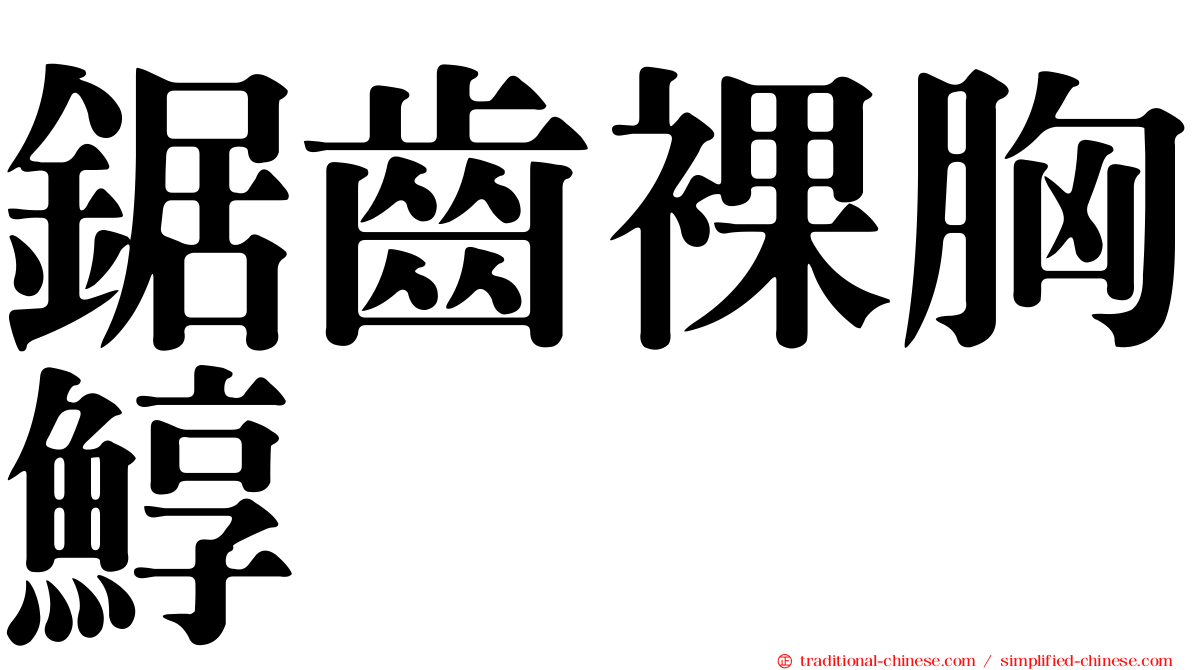鋸齒裸胸鯙