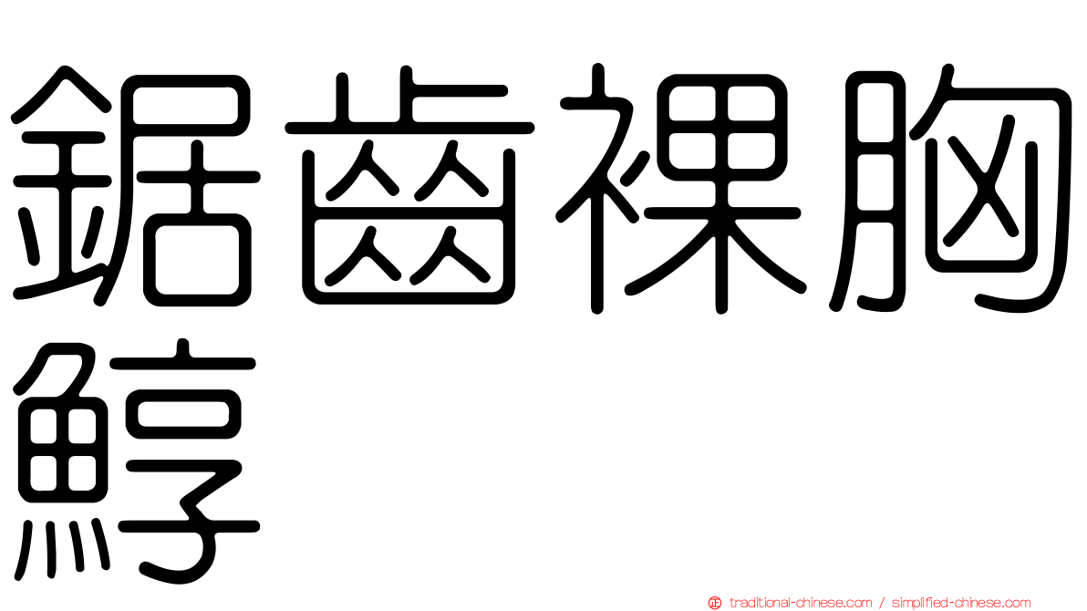 鋸齒裸胸鯙