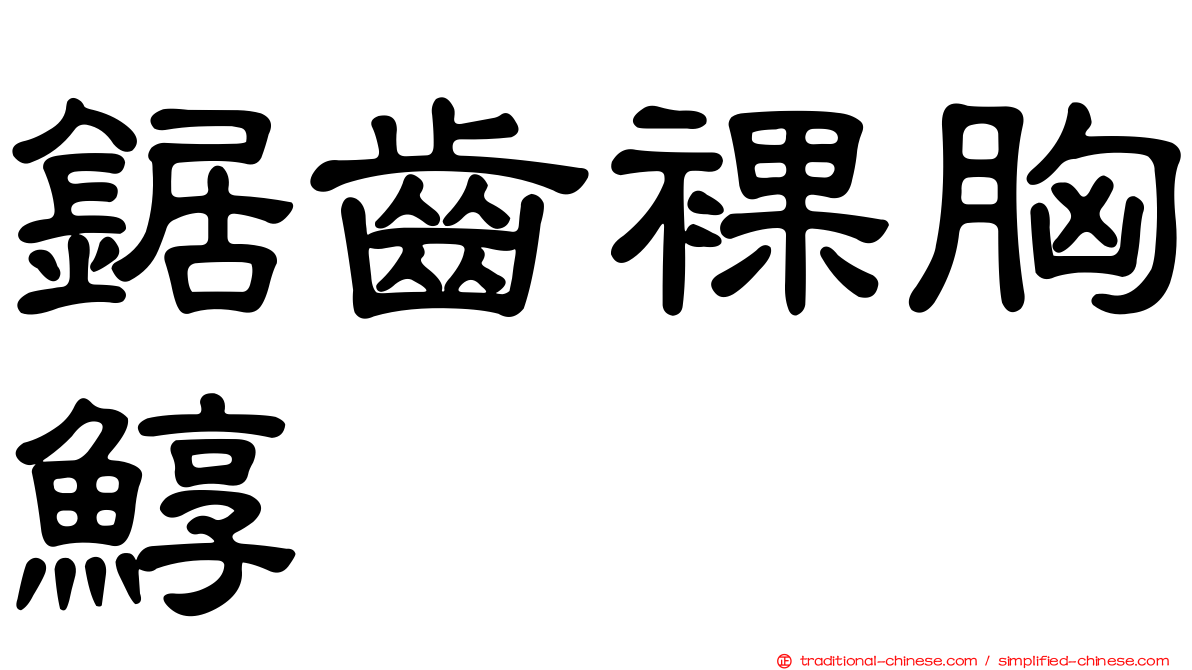 鋸齒裸胸鯙