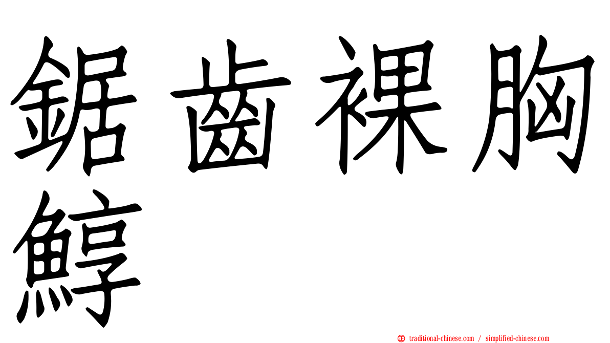 鋸齒裸胸鯙