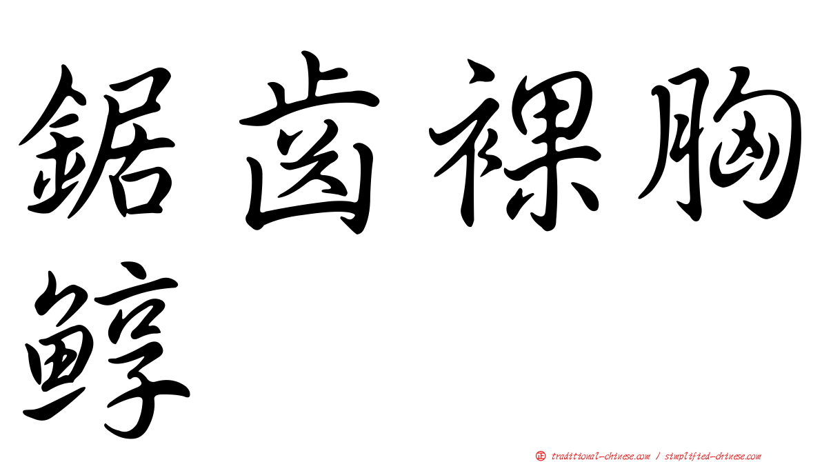 鋸齒裸胸鯙