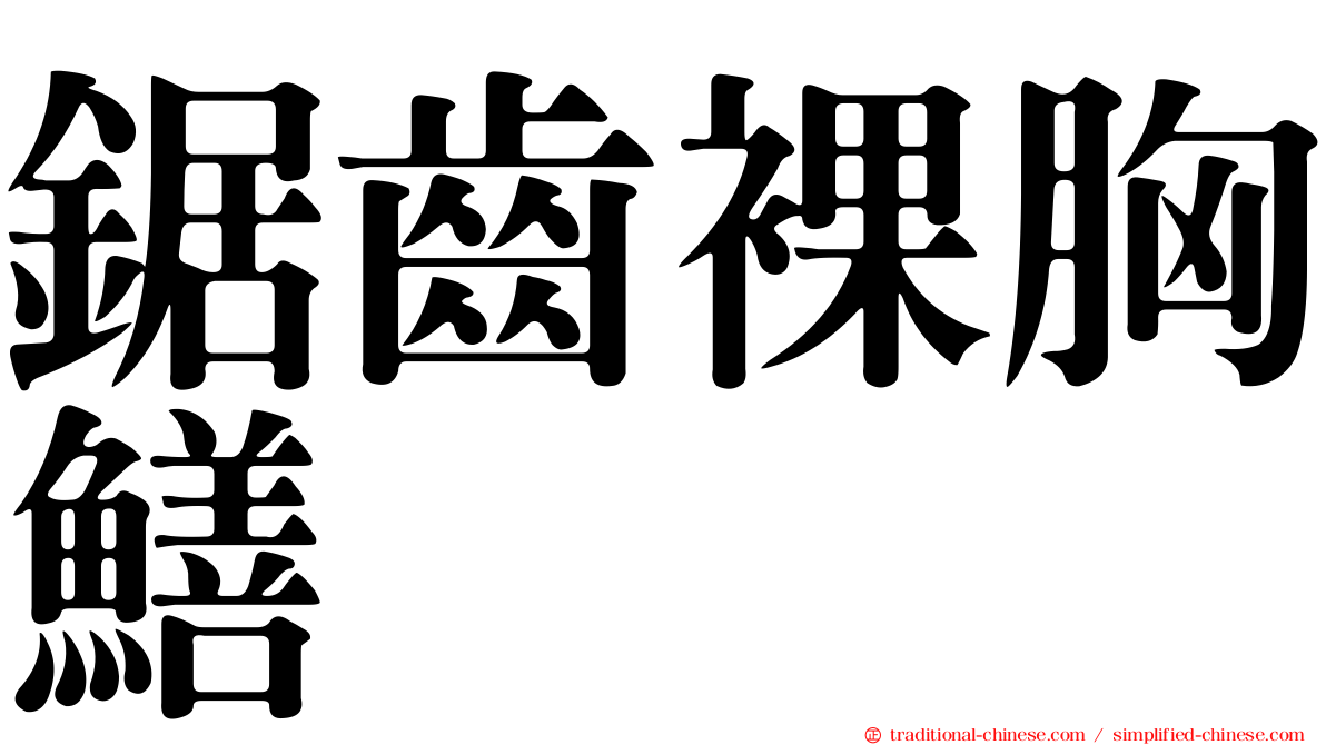 鋸齒裸胸鱔