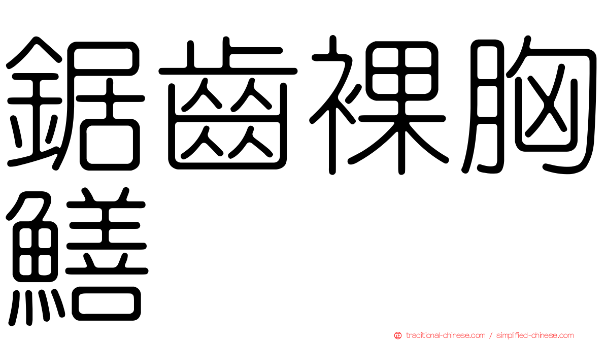 鋸齒裸胸鱔