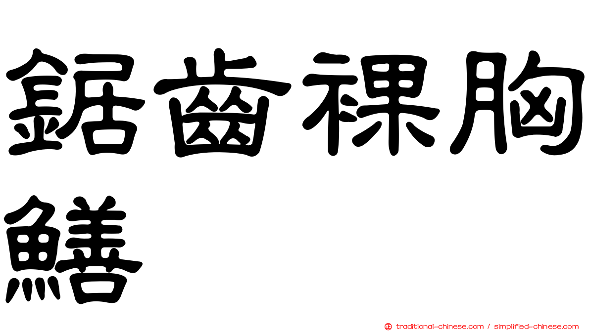 鋸齒裸胸鱔