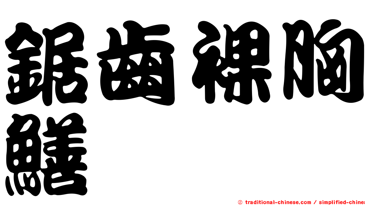 鋸齒裸胸鱔