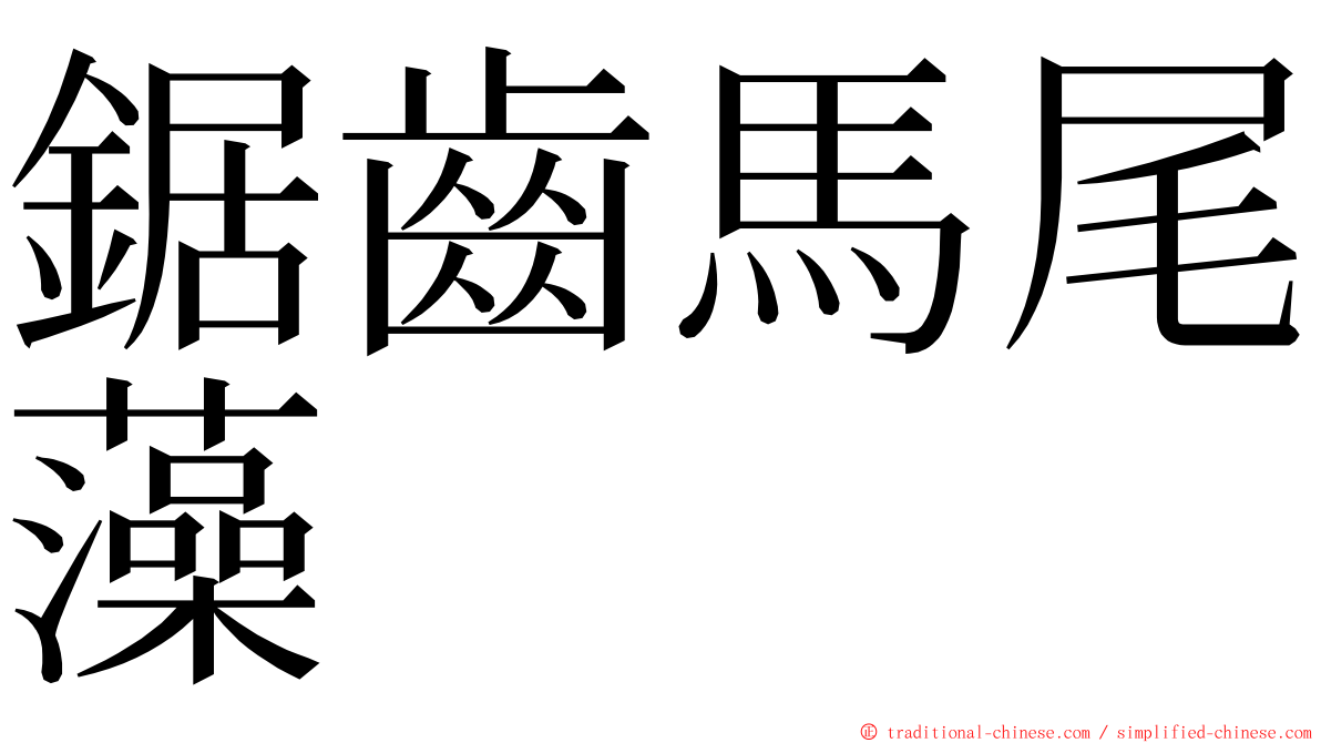 鋸齒馬尾藻 ming font