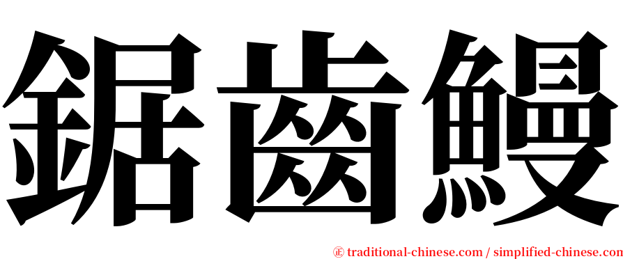 鋸齒鰻 serif font