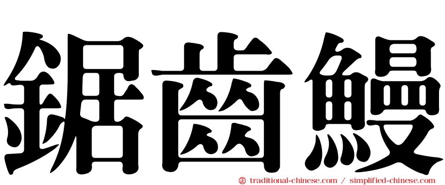 鋸齒鰻