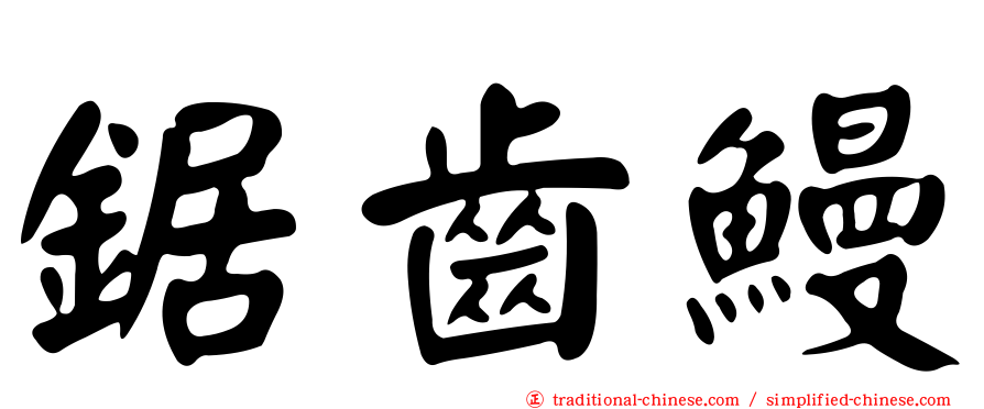 鋸齒鰻