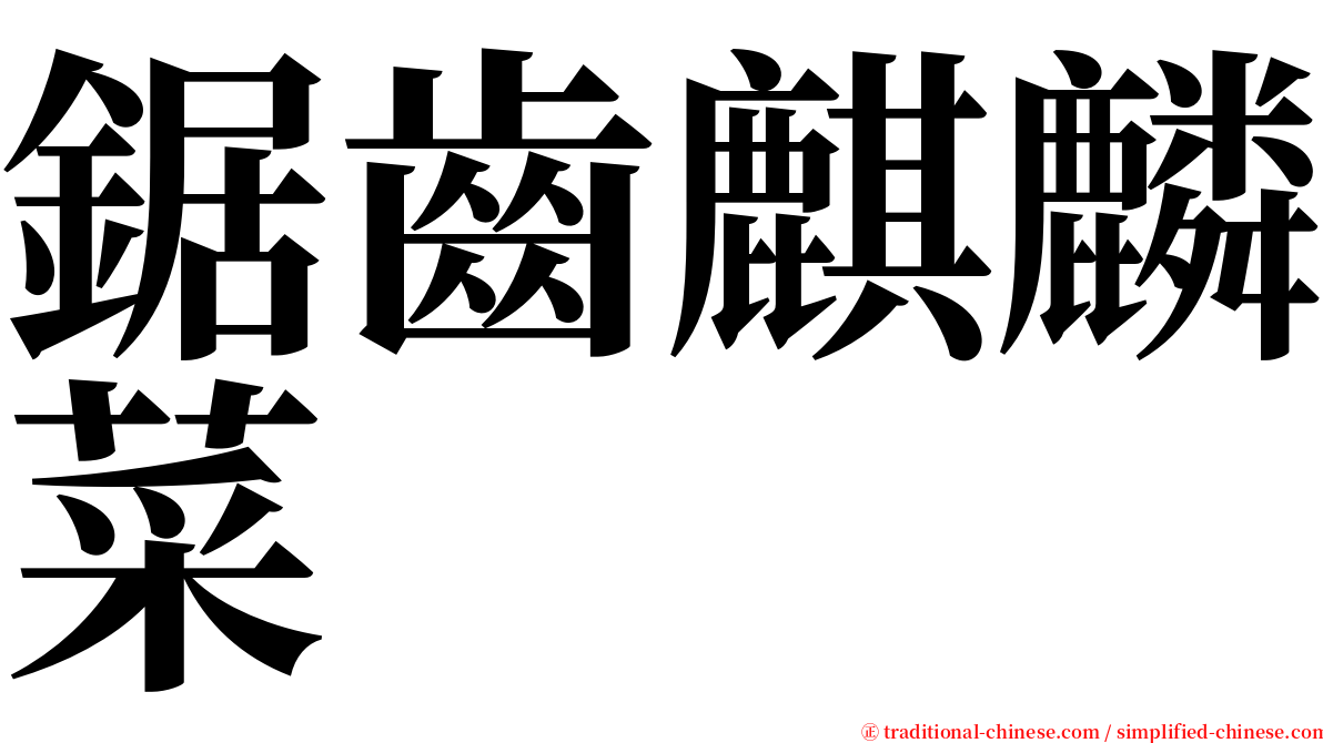 鋸齒麒麟菜 serif font
