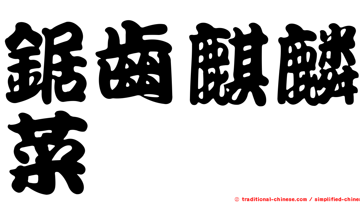 鋸齒麒麟菜