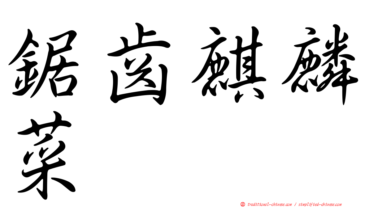 鋸齒麒麟菜