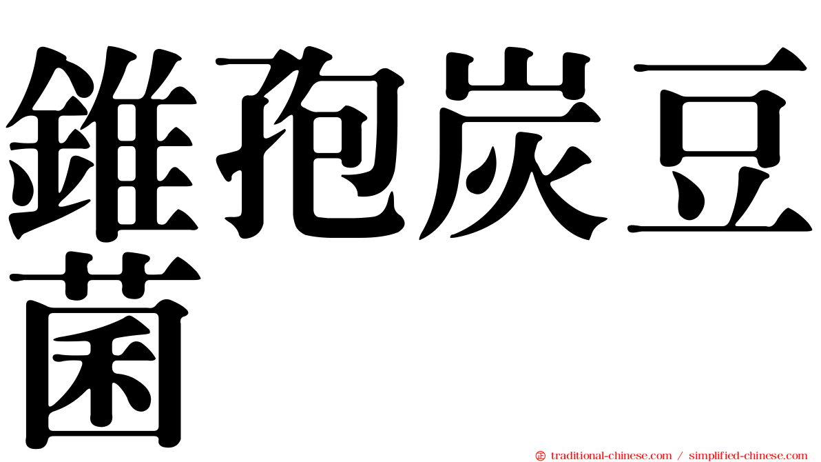 錐孢炭豆菌