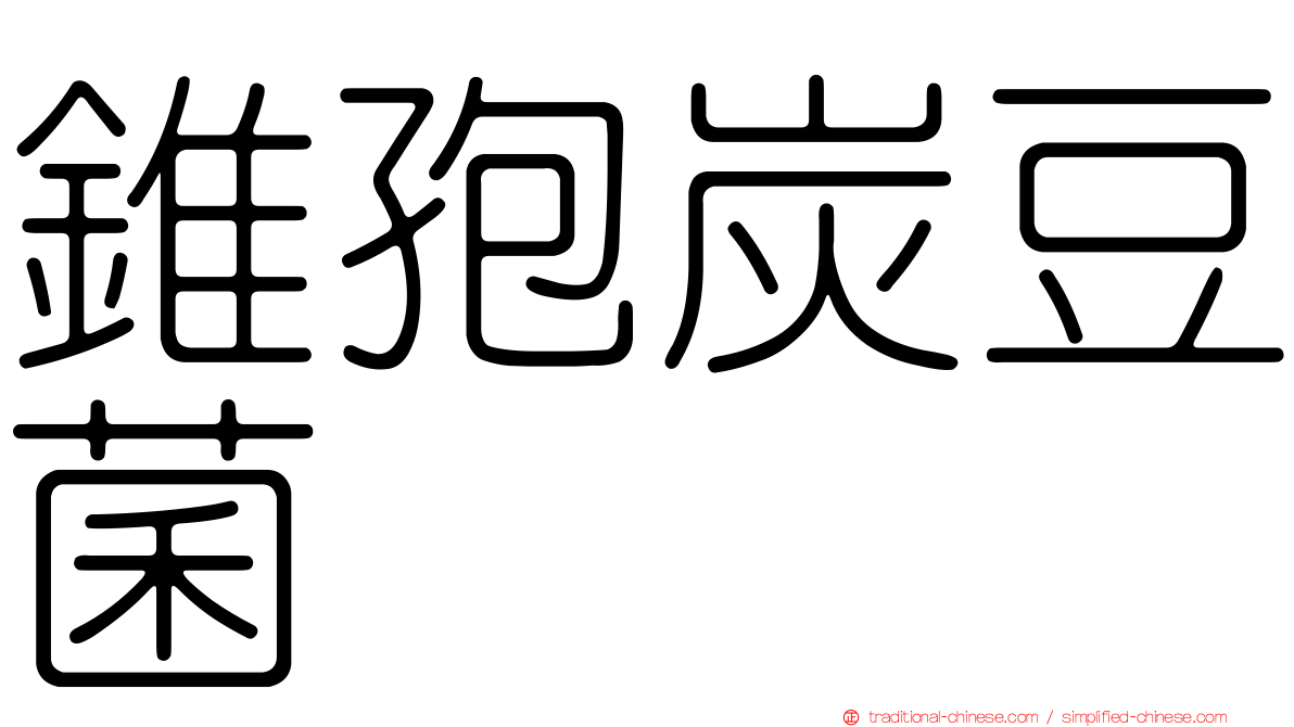 錐孢炭豆菌