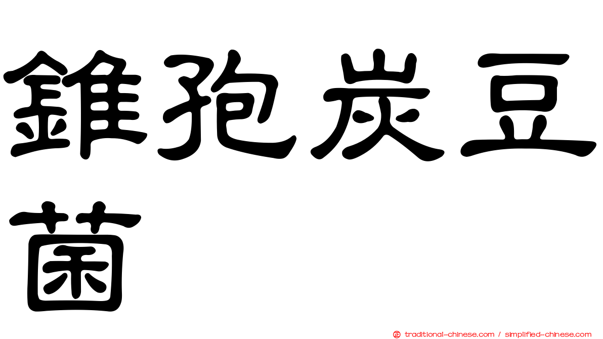 錐孢炭豆菌