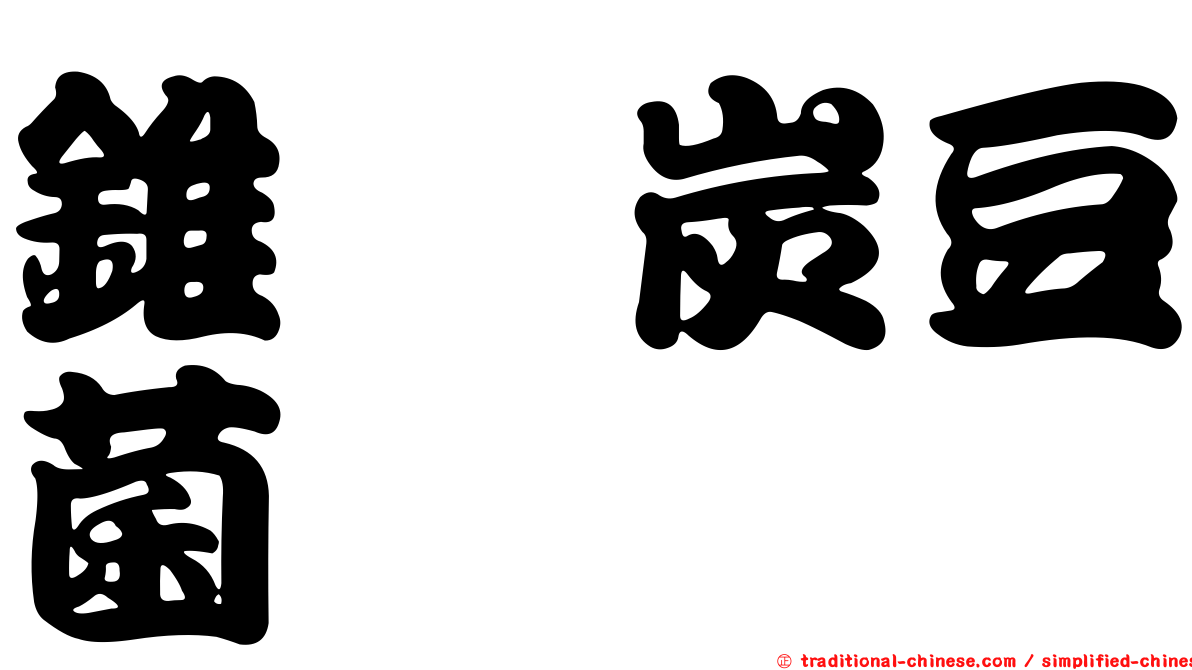錐孢炭豆菌