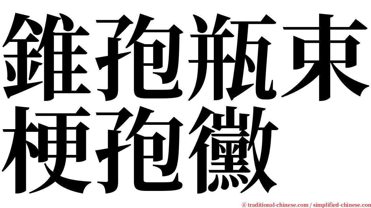 錐孢瓶束梗孢黴 serif font