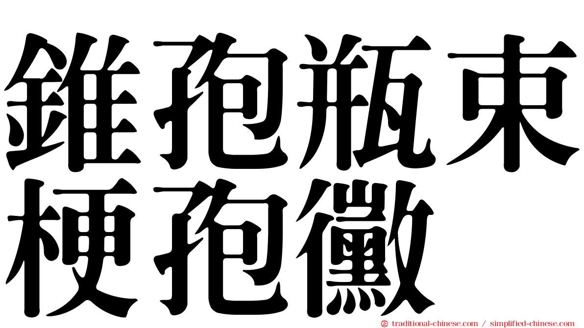 錐孢瓶束梗孢黴