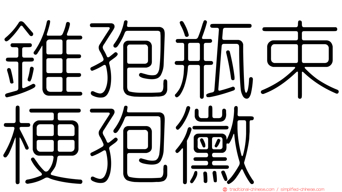 錐孢瓶束梗孢黴