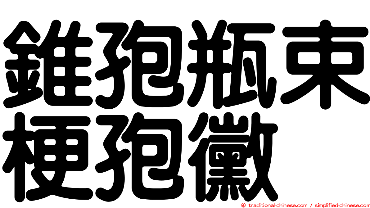 錐孢瓶束梗孢黴