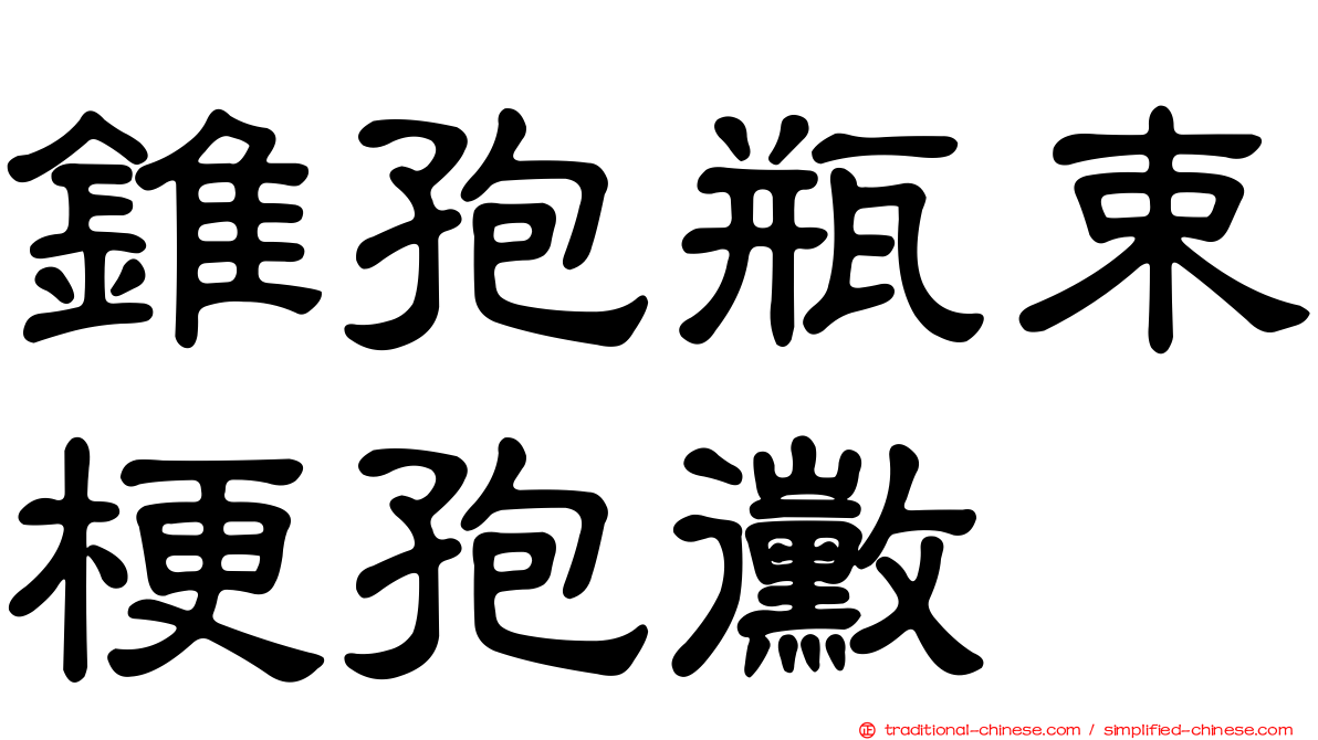 錐孢瓶束梗孢黴