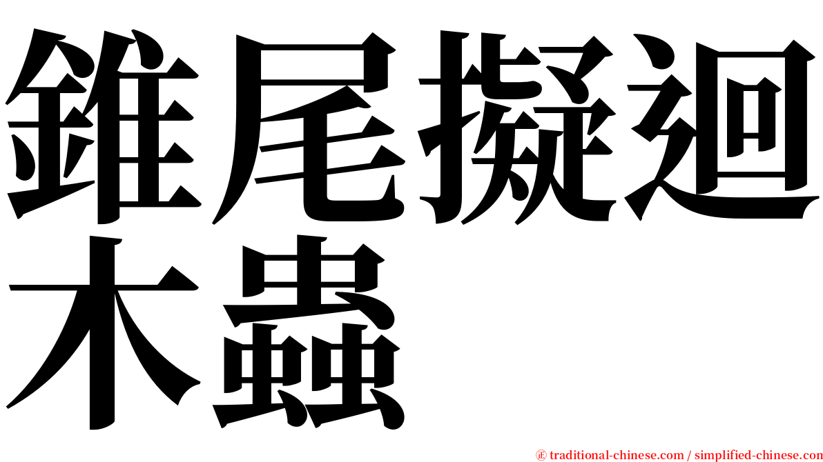 錐尾擬迴木蟲 serif font