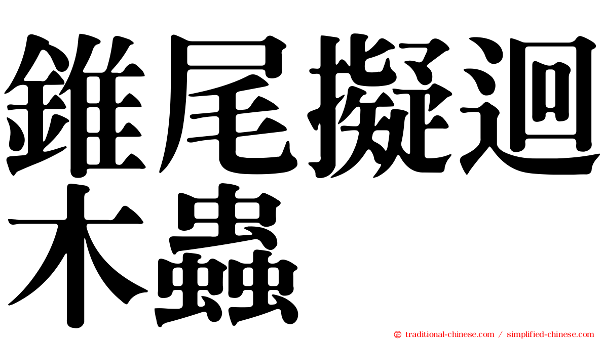 錐尾擬迴木蟲