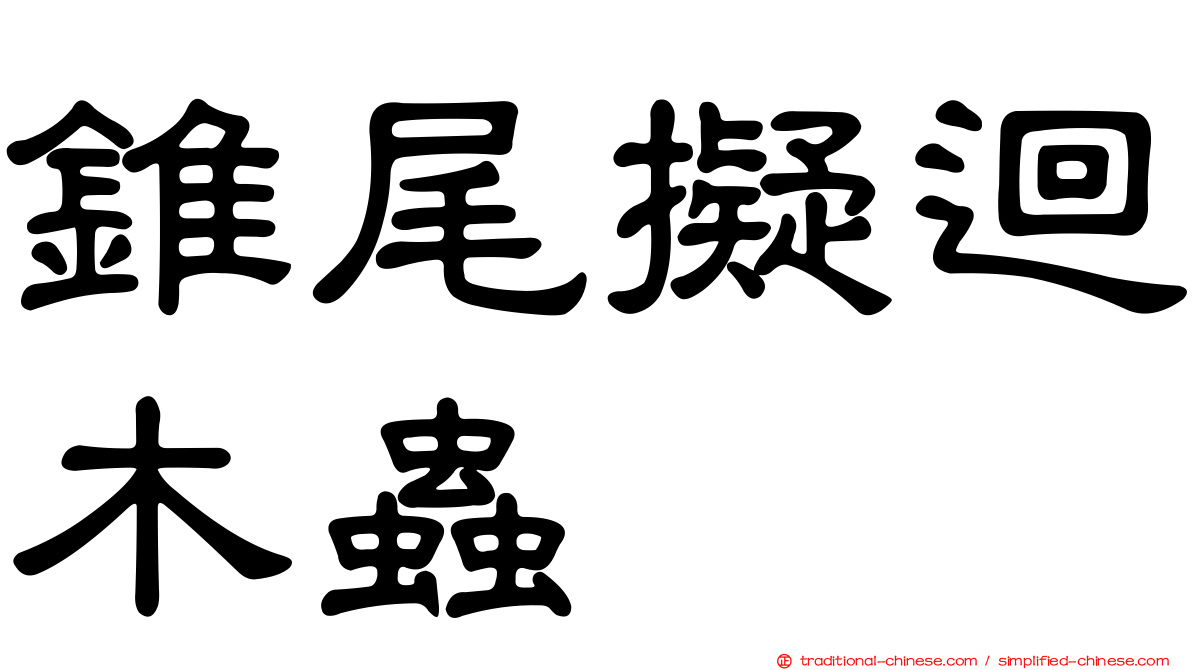 錐尾擬迴木蟲