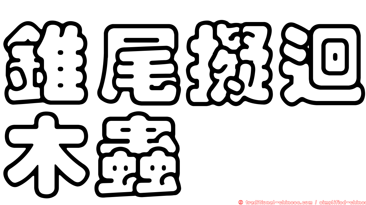 錐尾擬迴木蟲