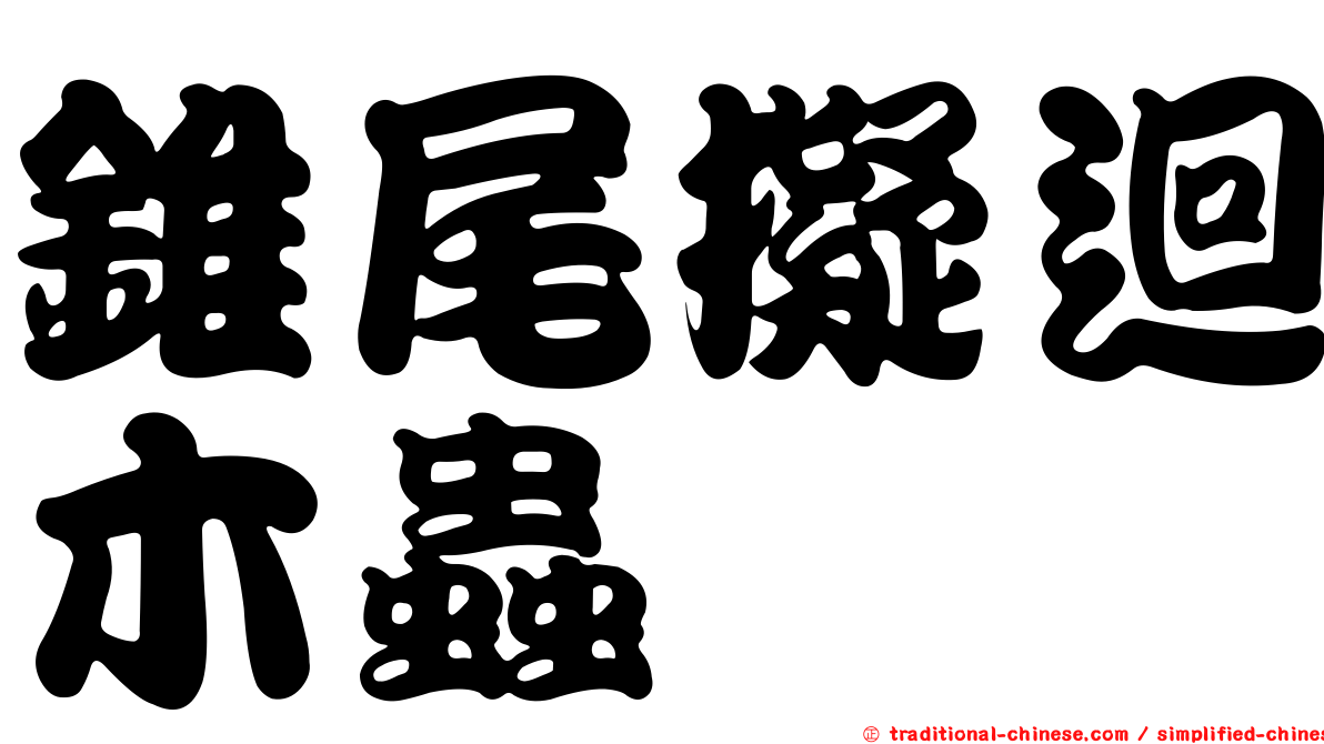 錐尾擬迴木蟲