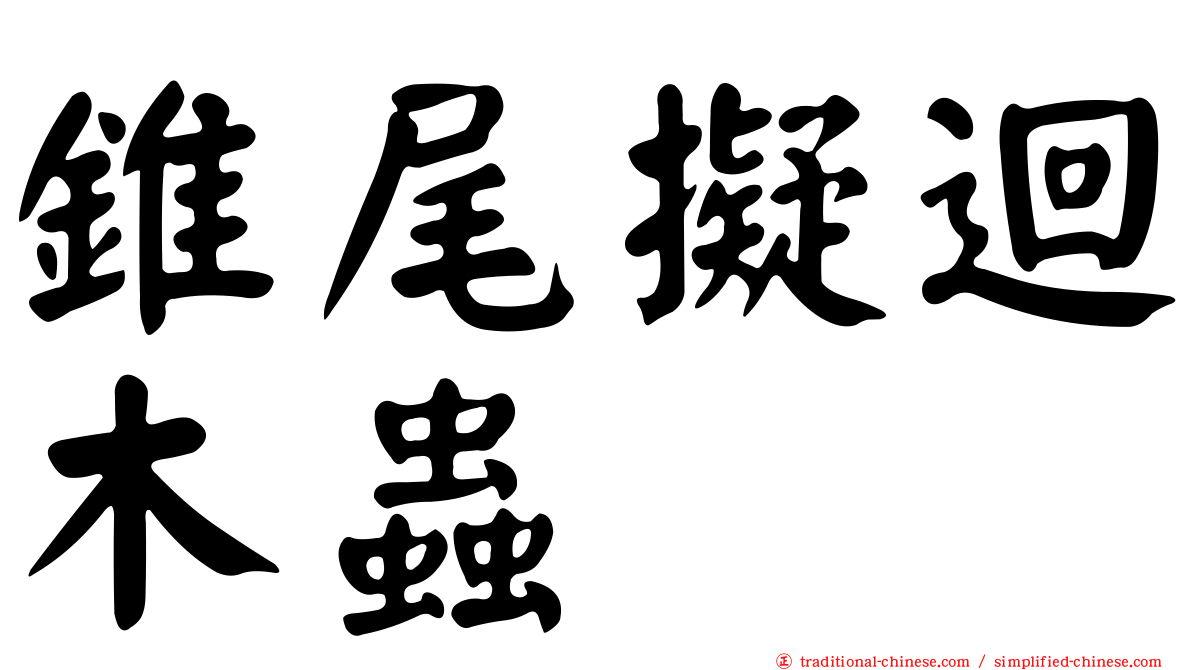 錐尾擬迴木蟲
