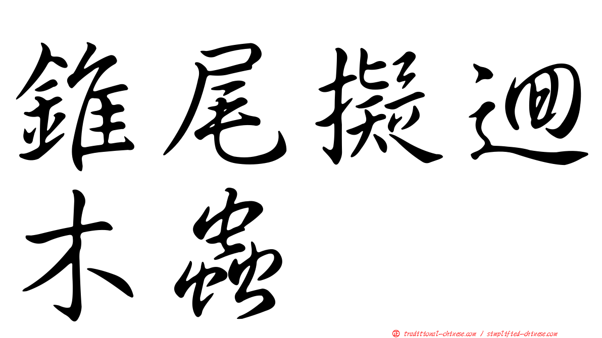 錐尾擬迴木蟲