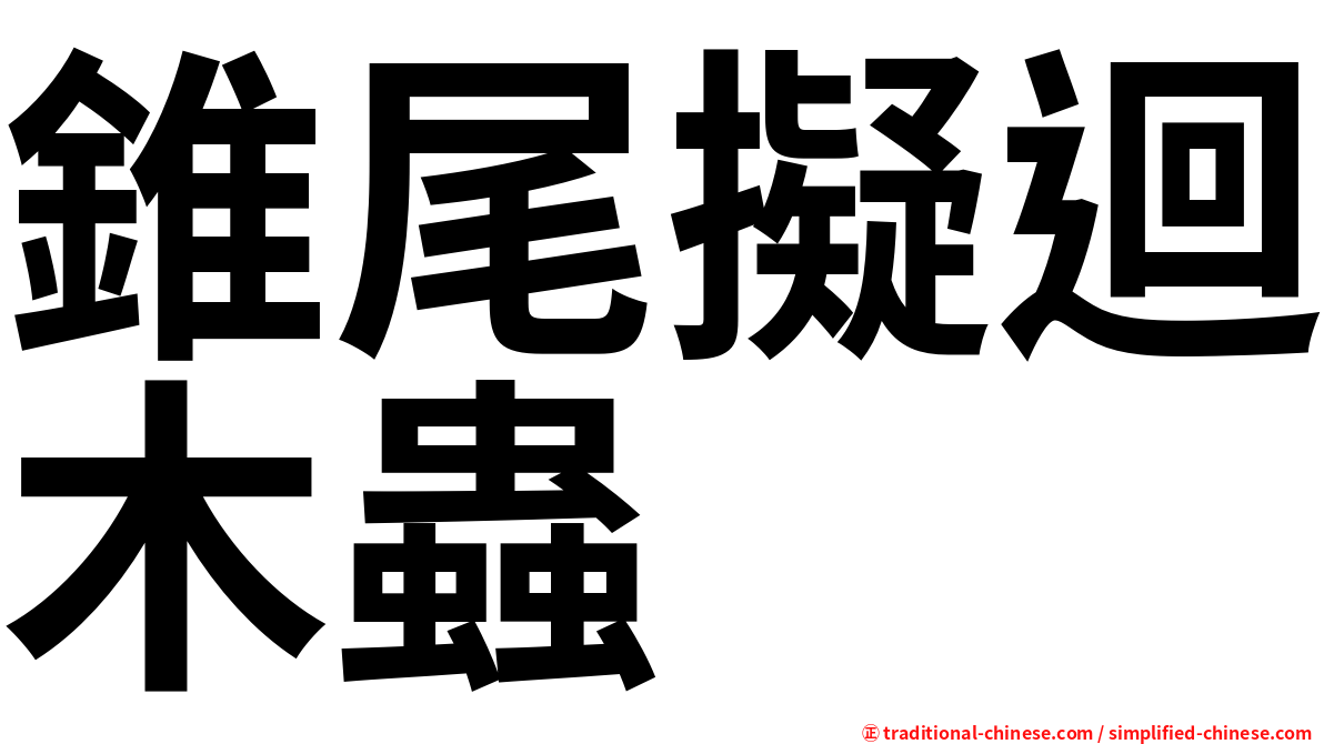 錐尾擬迴木蟲