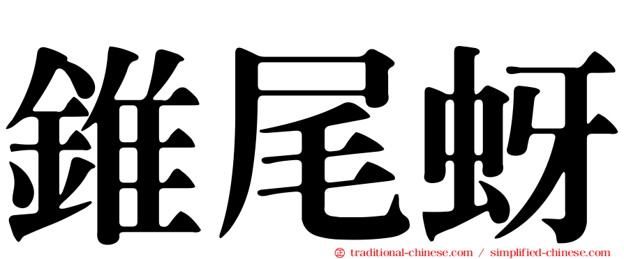 錐尾蚜