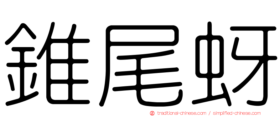 錐尾蚜